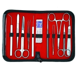 Medical Anatomy Instrument